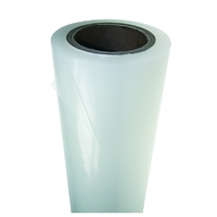 Stone Protection film