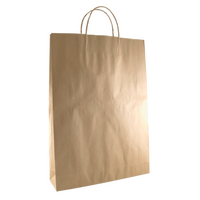 Paper Twisted Handle Bags