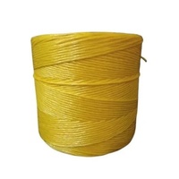 Yellow Rhino Twine
