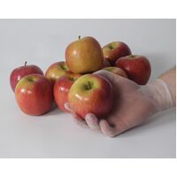 Clear Vinyl Gloves Low Powder