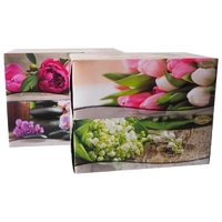 Facial Tissues