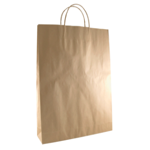 Paper Twisted Handle Bags