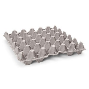 Egg Trays (fillers)