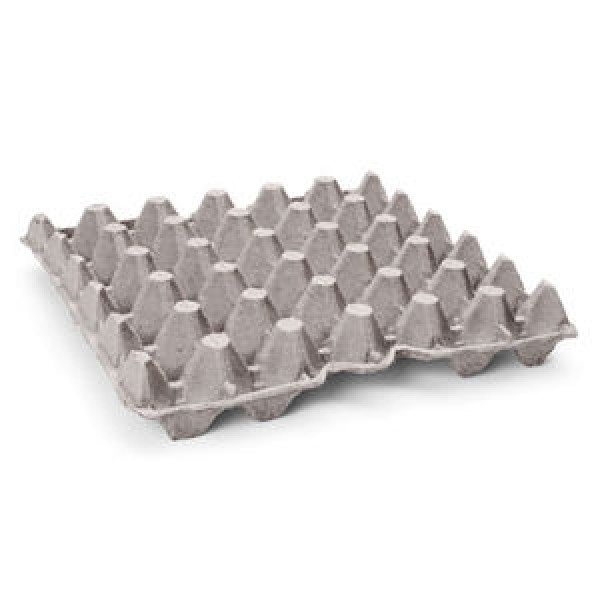 Egg Trays (30 eggs) Buy Online Australia