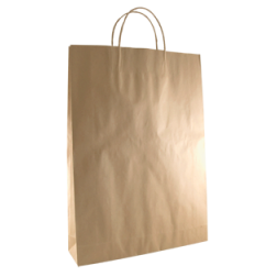 Paper Twisted Handle Bags